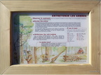 2006