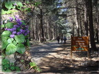 2009